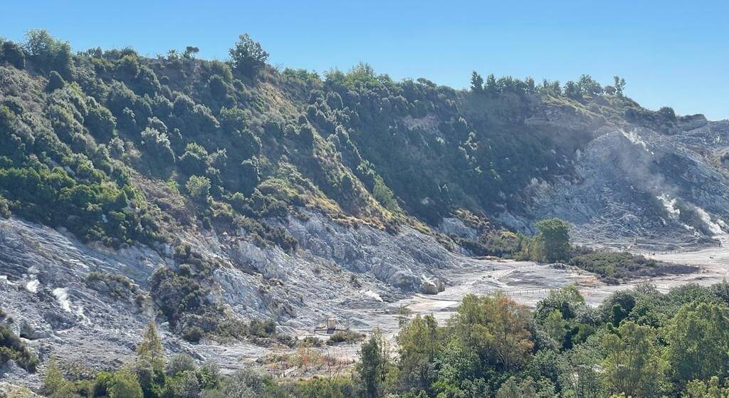 From ashes to elegance: exploring Falanghina in the explosive terroir of the Phlegraean Fields