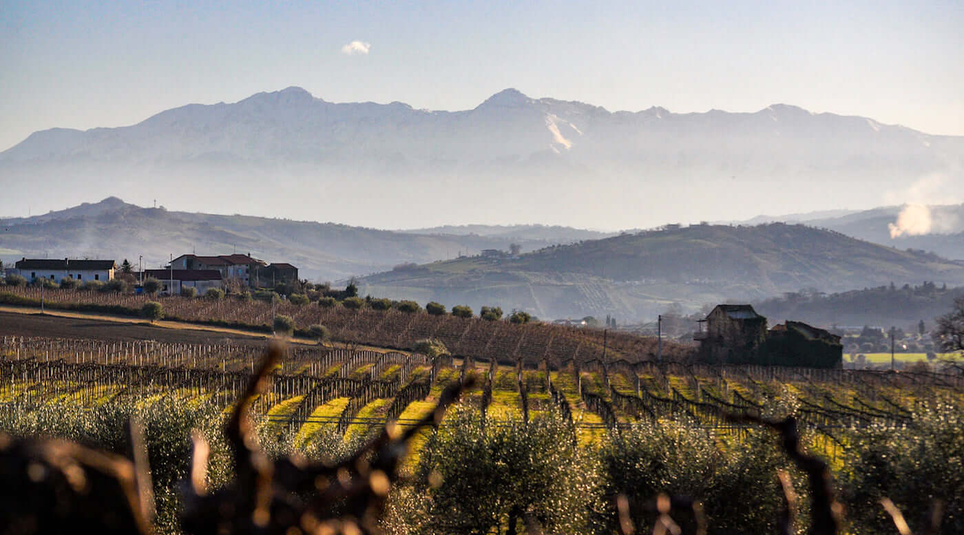 Read more about Montepulciano d’Abruzzo DOC