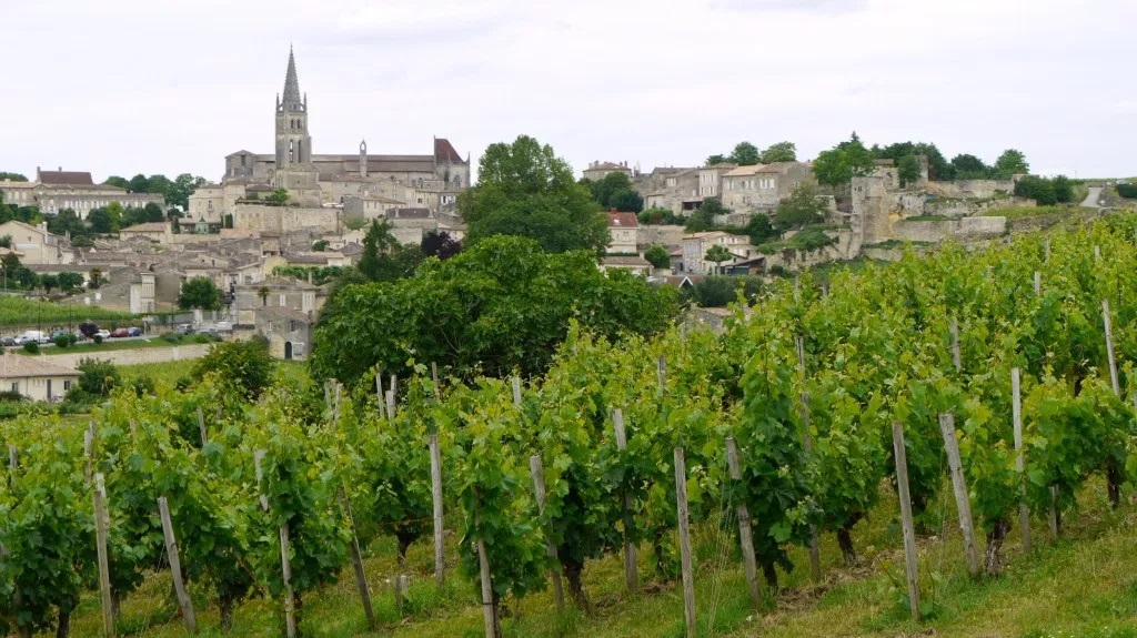 Pauillac AOC