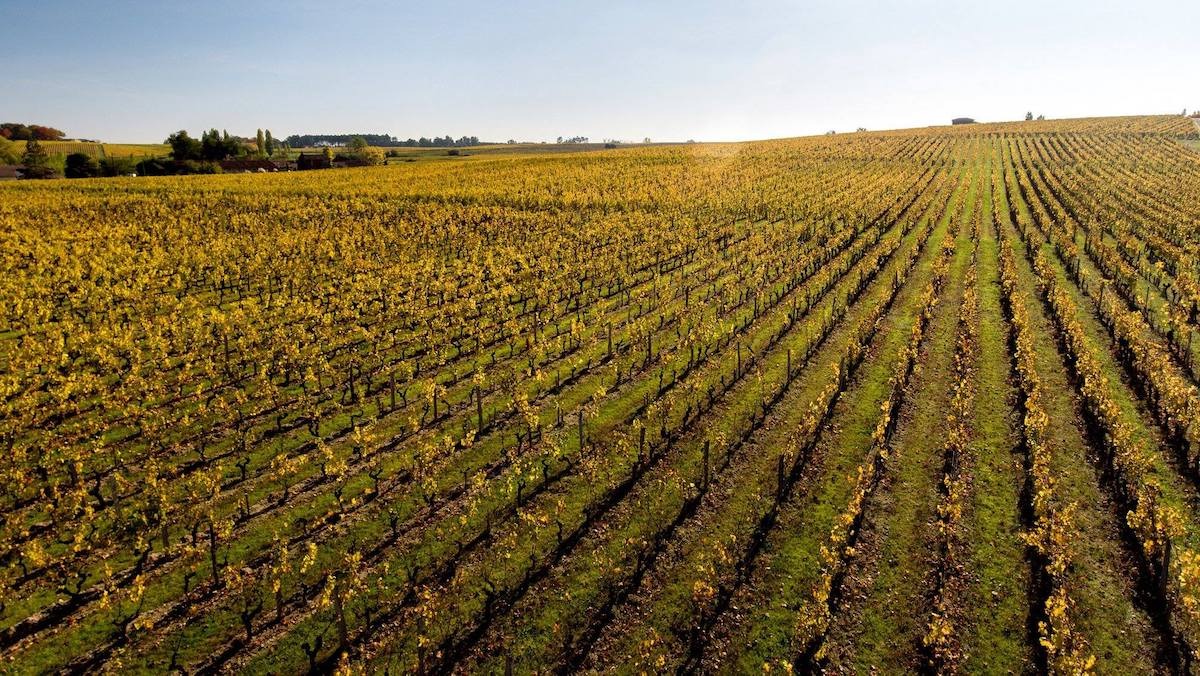 Read more about Sauternes AOC