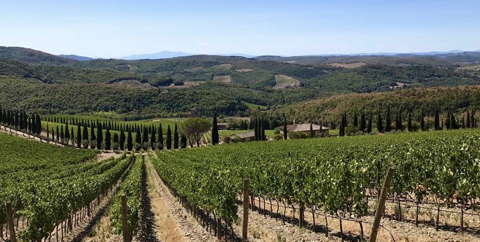 Read more about Chianti Classico DOCG