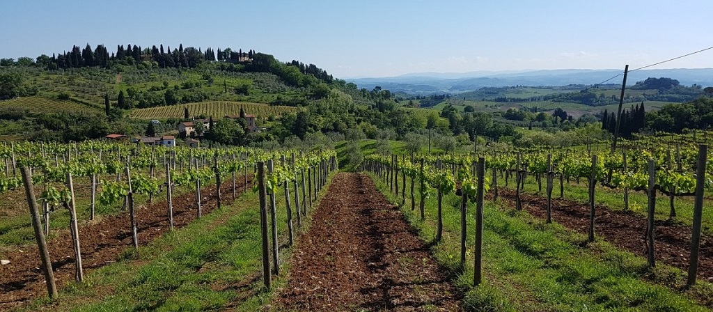 Read more about Chianti DOCG