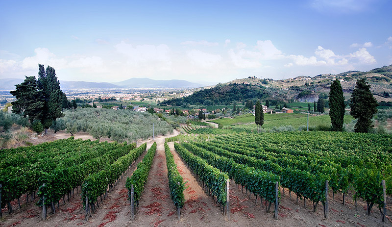 Read more about Carmignano DOCG