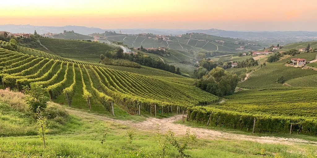 Barbaresco DOCG