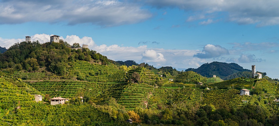 Conegliano Valdobbiadene Prosecco DOCG