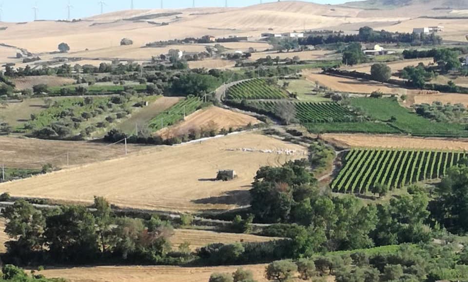 Basilicata IGP