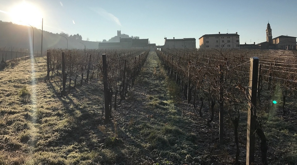 Read more about Soave DOC