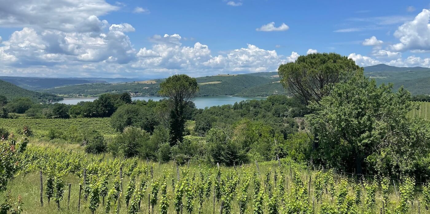 Lago di Corbara DOC