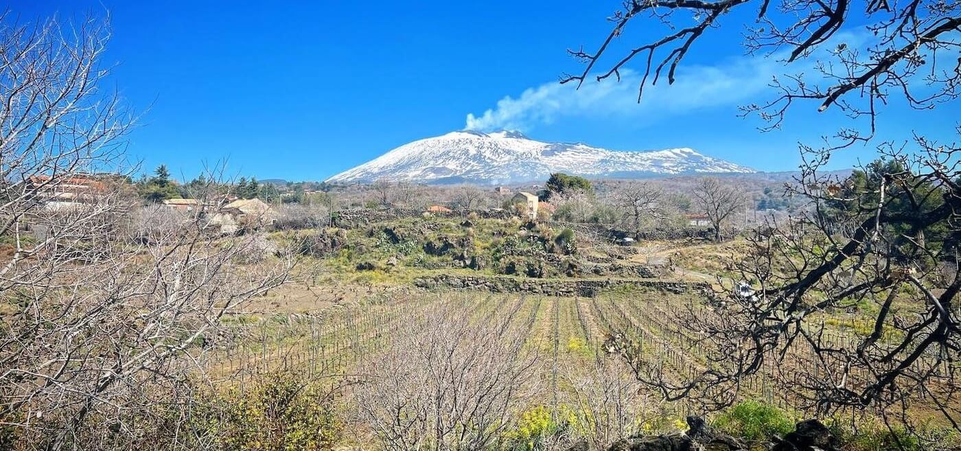 Read more about Etna DOC