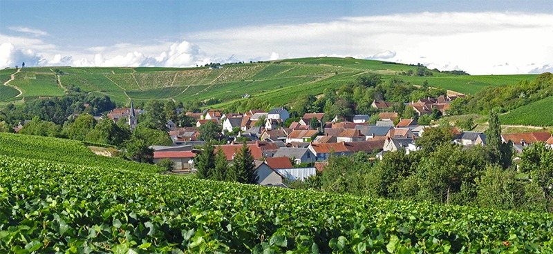 Read more about Sancerre AOC