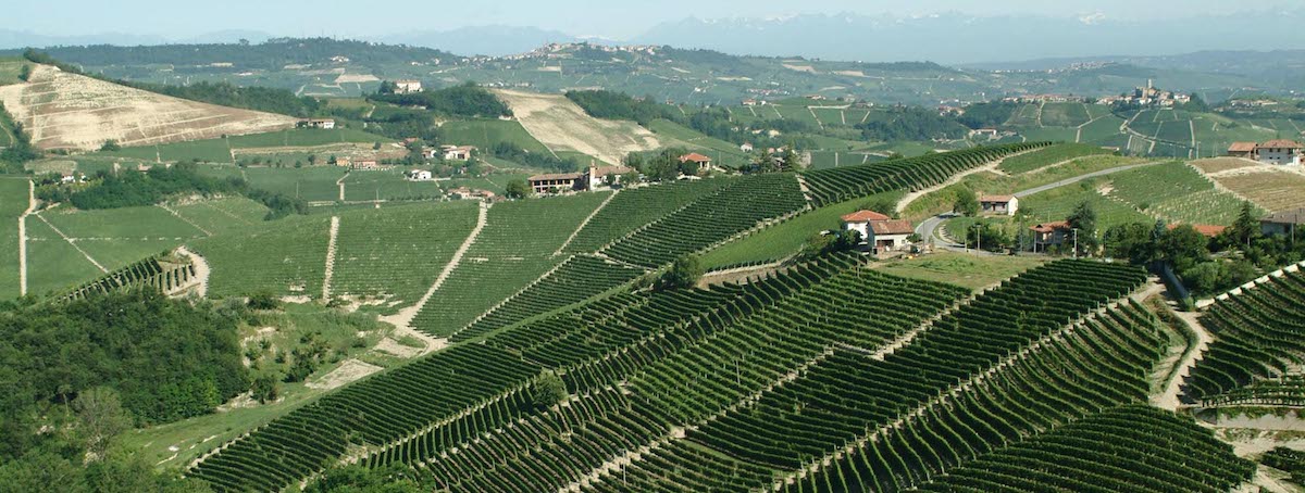 Barolo DOCG