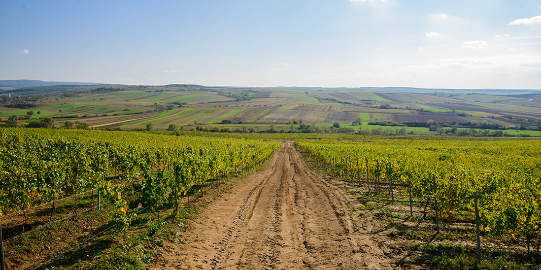 Romania