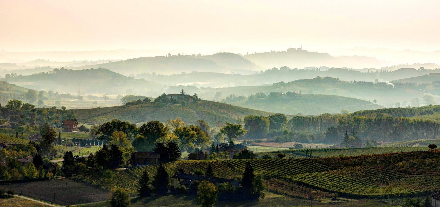 Barbera del Monferrato DOC