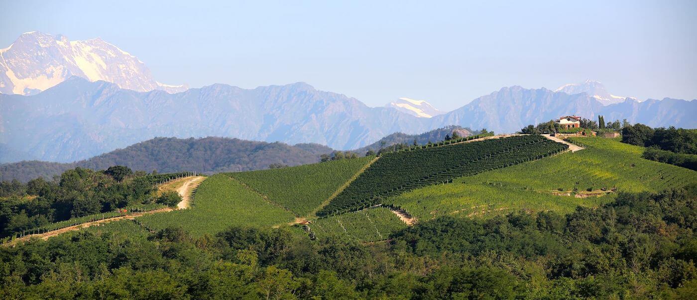 Gattinara DOCG