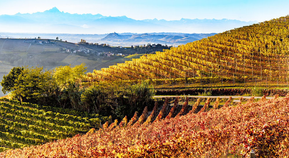 Read more about Langhe DOC