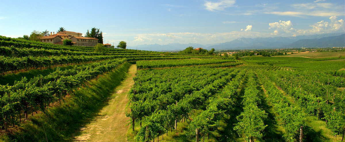 Friuli-Venezia Giulia