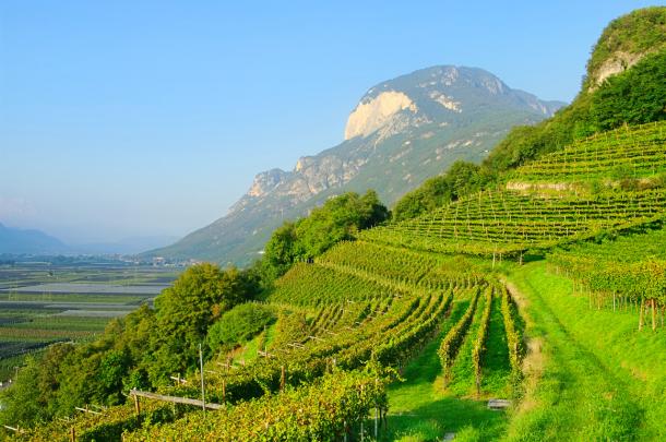 Read more about Trentino-Alto Adige