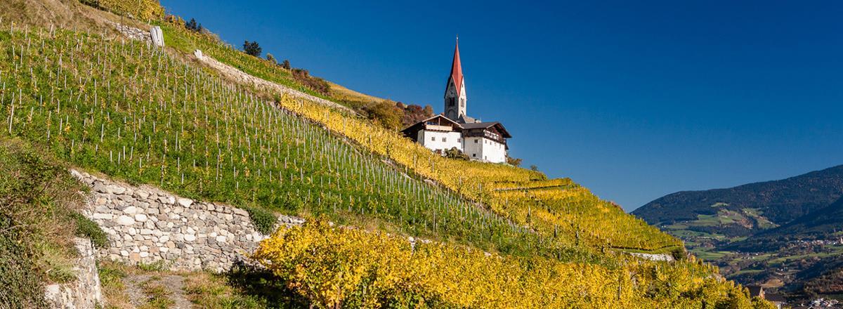 Read more about Alto Adige / Südtirol DOC