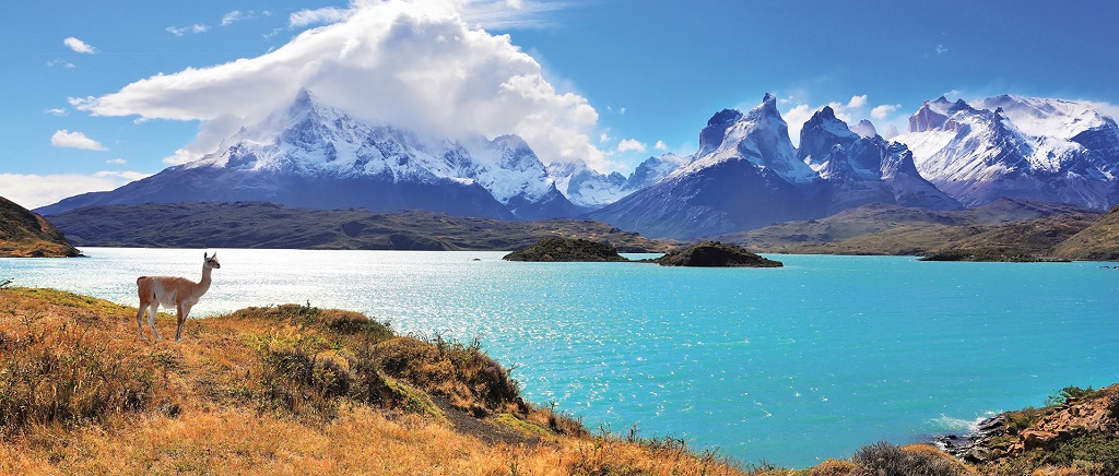 Read more about Chile