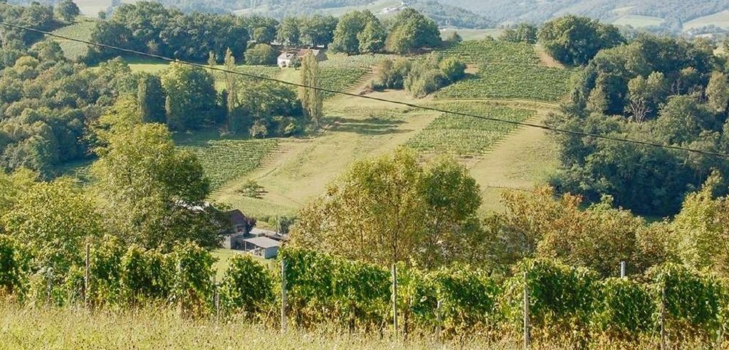 Read more about Béarn AOC