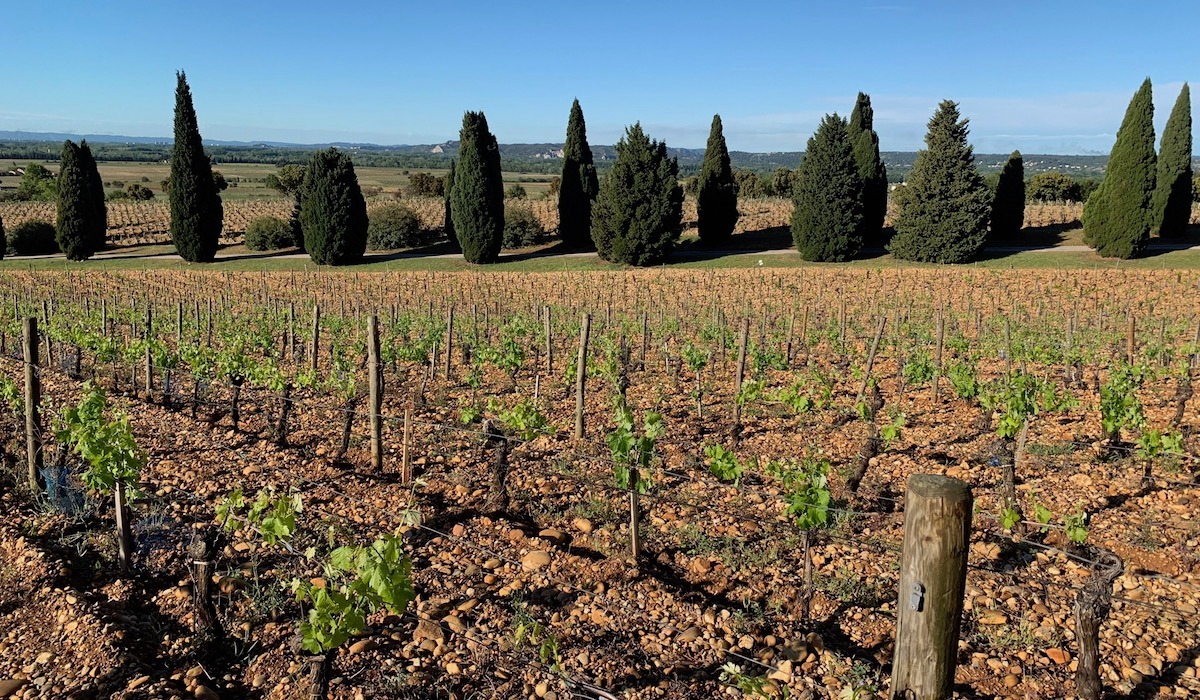 Châteauneuf-du-Pape AOC