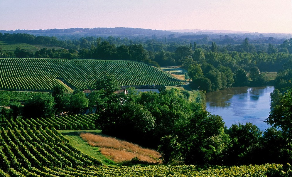 Fronsac AOC