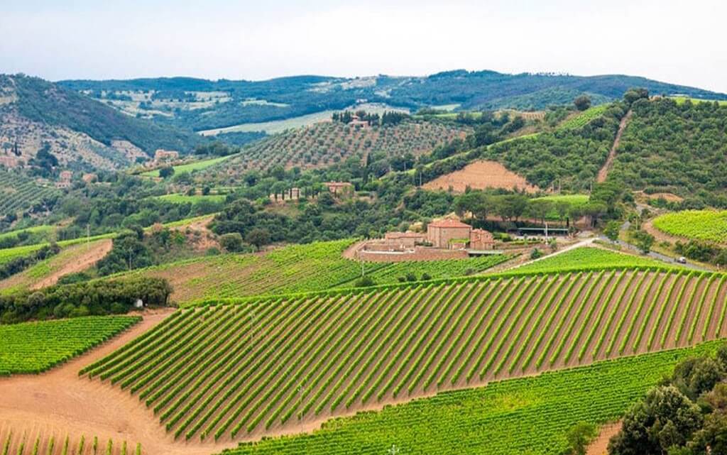 Read more about Valpolicella Ripasso DOC