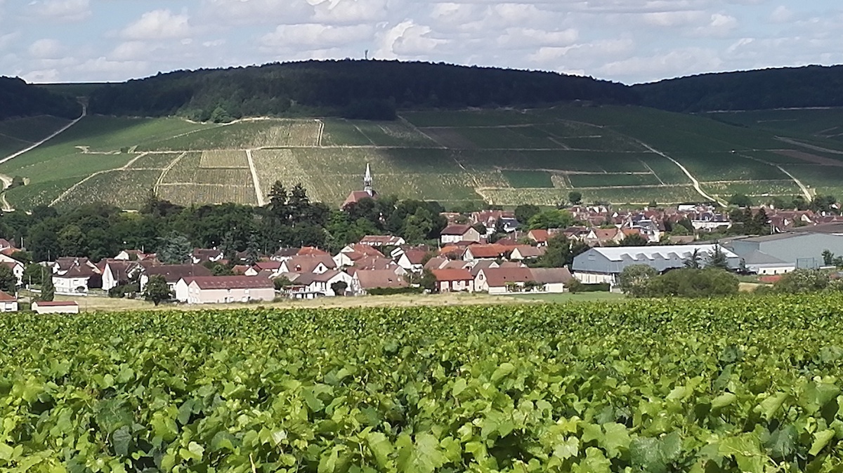 Chablis AOC