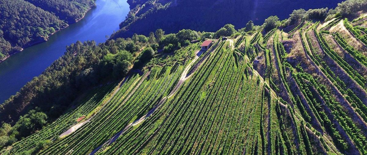 Read more about Ribeira Sacra DO