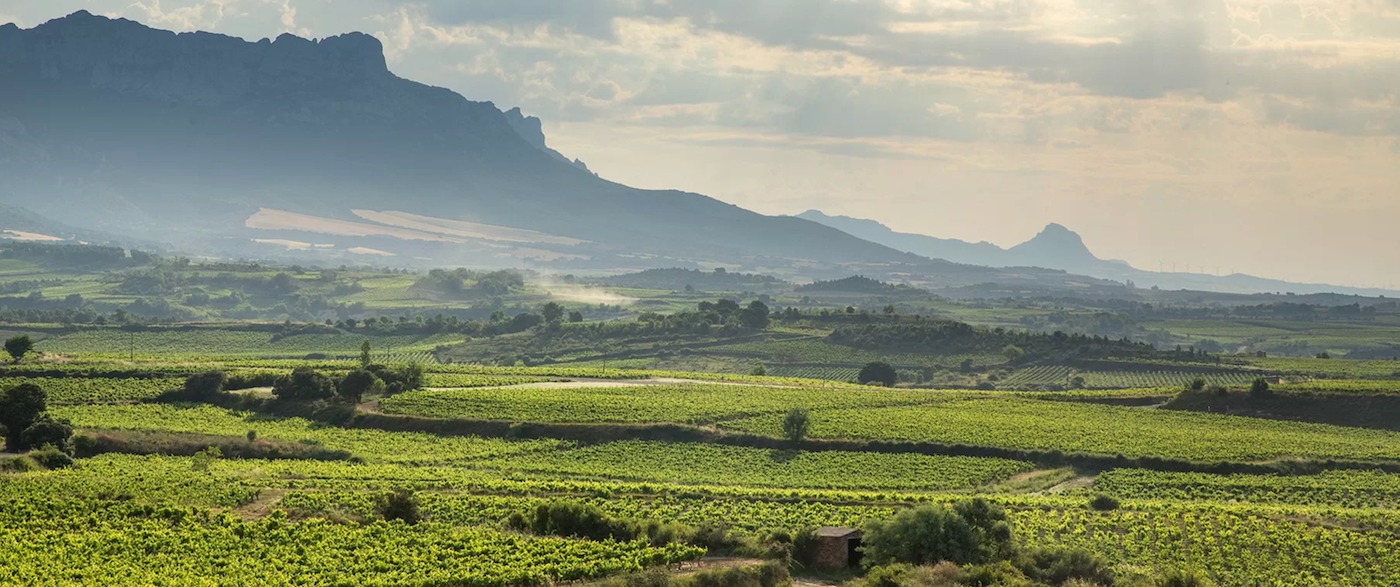 Read more about Rioja DOC