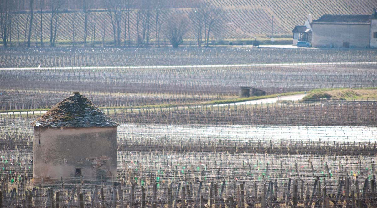 Savigny-Lès-Beaune AOC