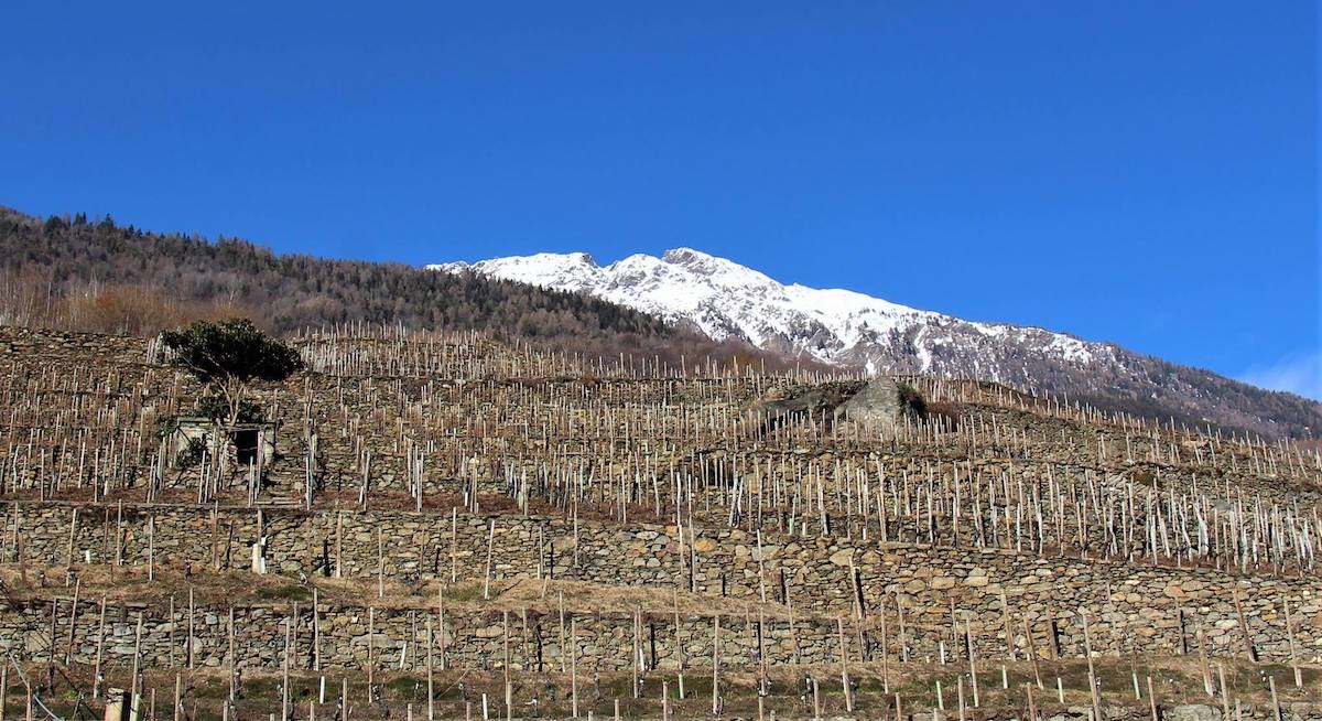 Valtellina Superiore DOCG