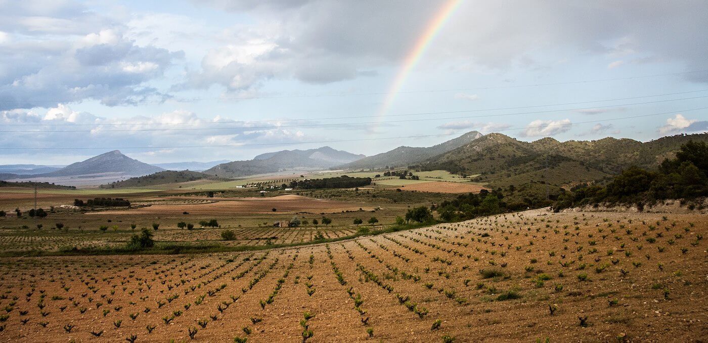 Jumilla DO