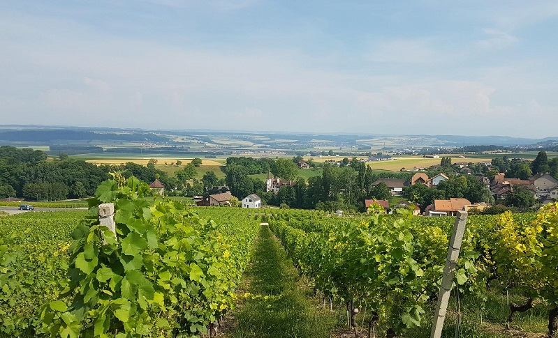 Les Côtes de l’Orbe AOC