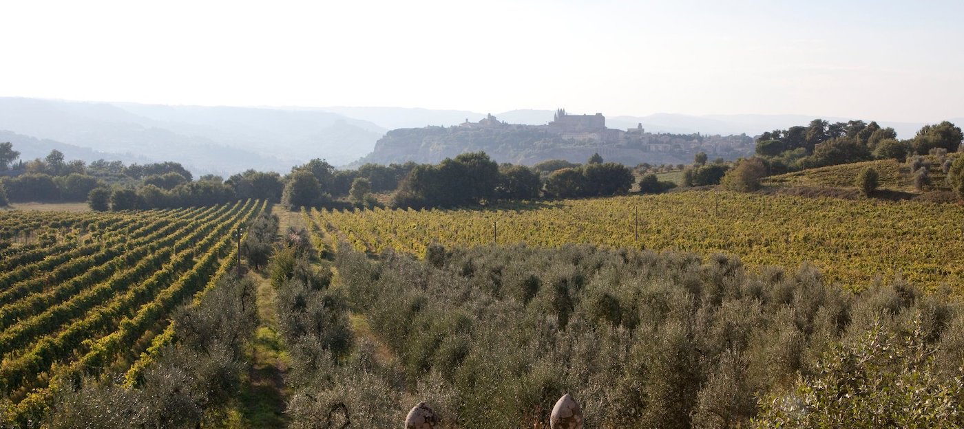 Read more about Orvieto DOC