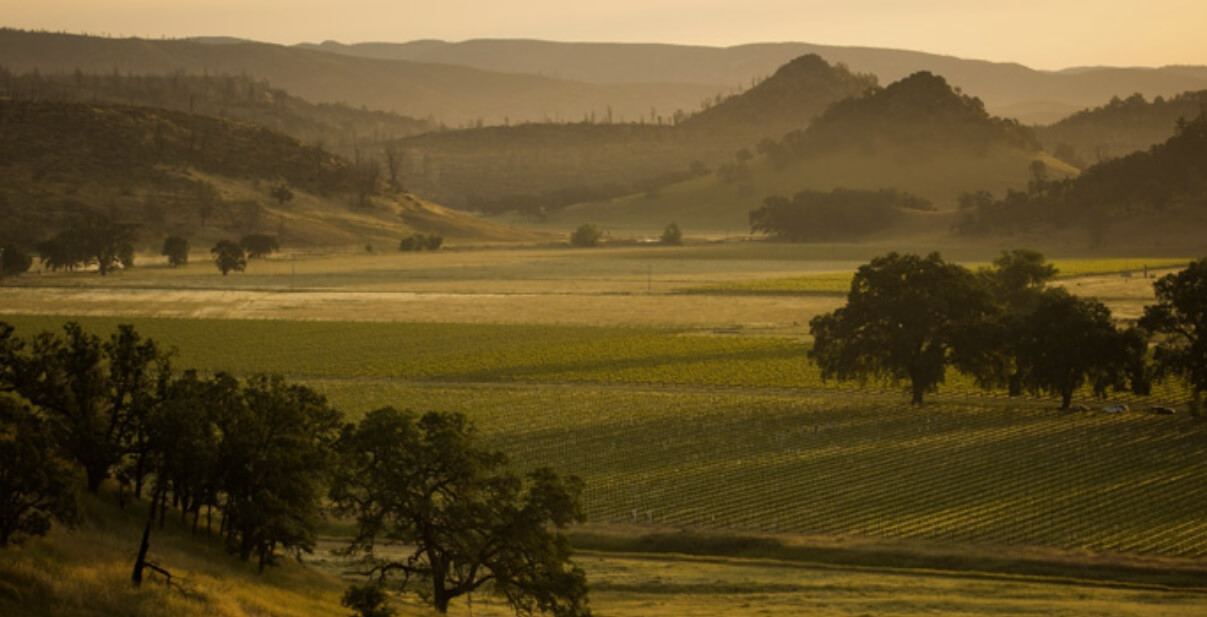 Guenoc Valley AVA