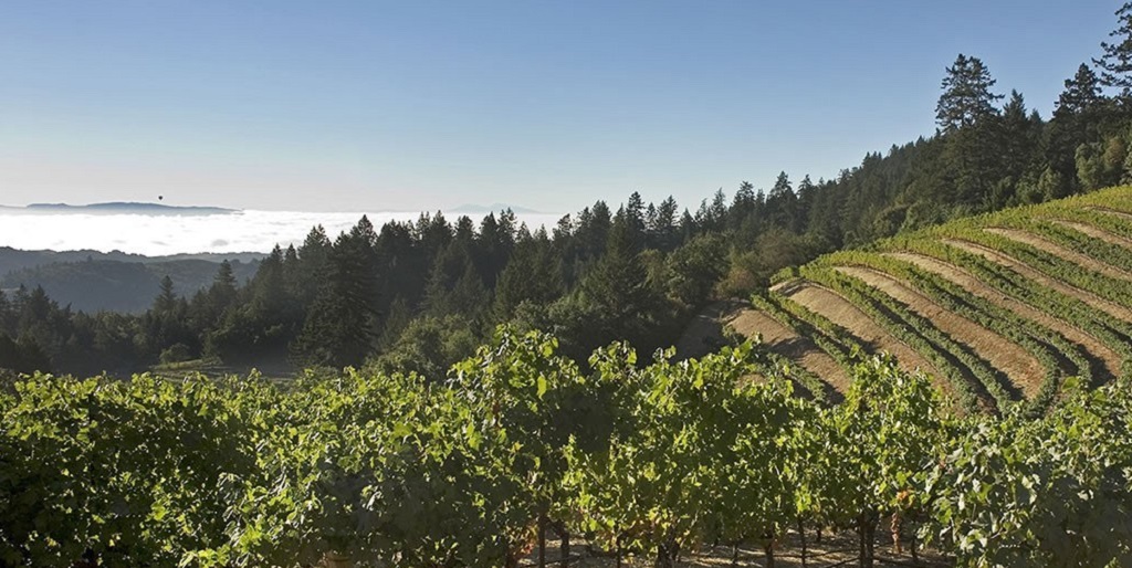 Mount Veeder AVA