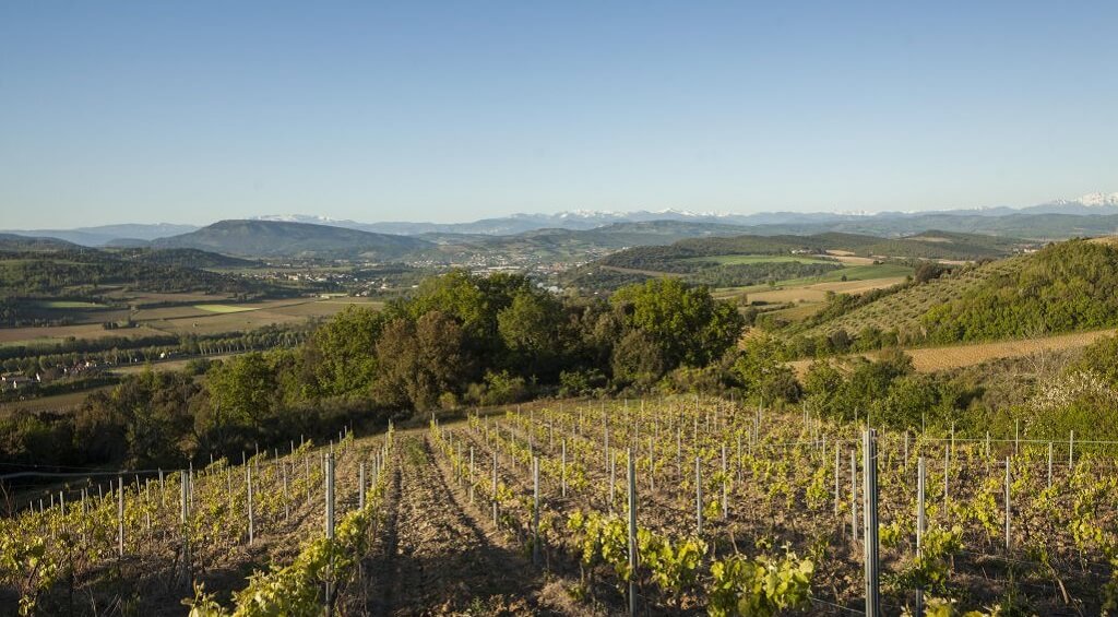 Blanquette de Limoux AOC