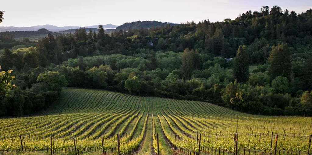 Green Valley of Russian River Valley AVA