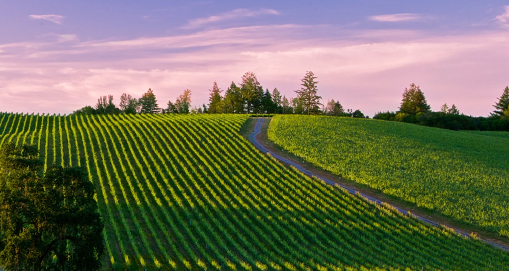 Read more about Russian River Valley AVA