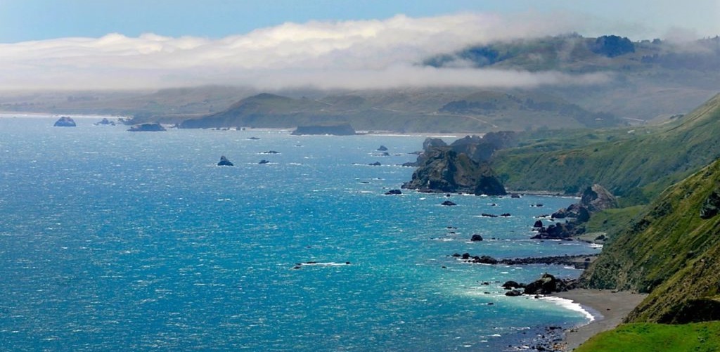 Read more about Sonoma Coast AVA