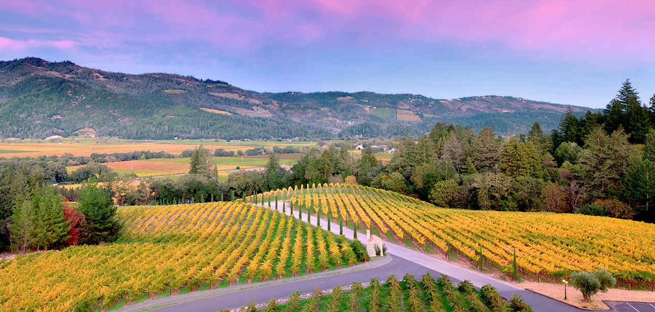 Read more about Napa Valley AVA