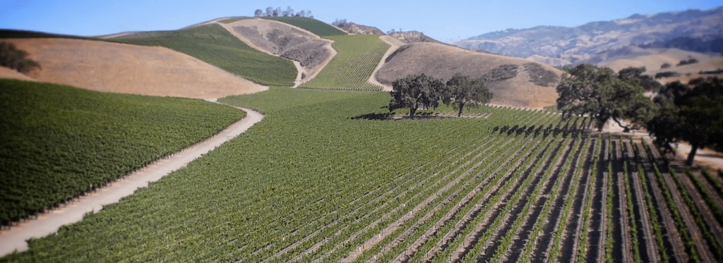 Happy Canyon of Santa Barbara AVA