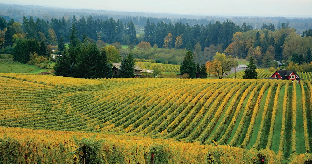 Willamette Valley