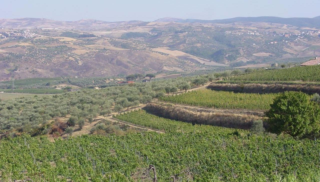 Azienda Agricola Elena Fucci