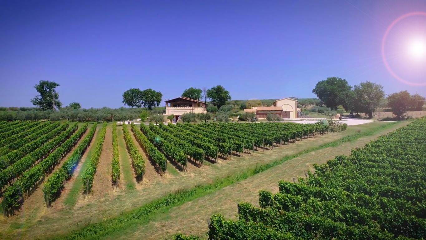 Azienda Agricola Perticaia