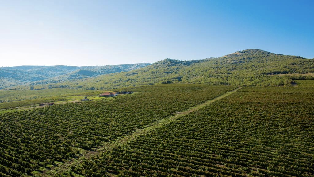 Tikveš Winery