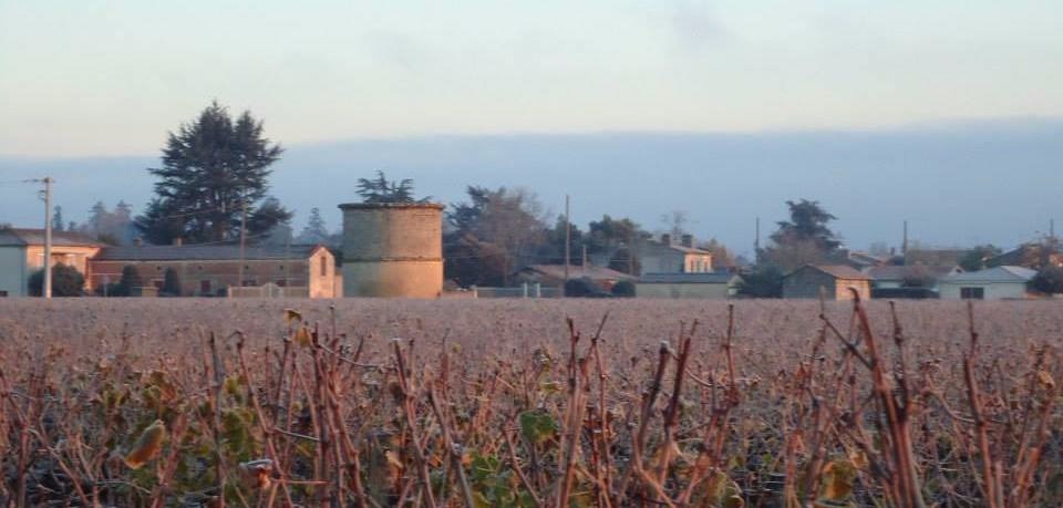 Château Coutet