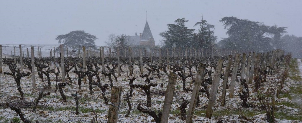 Château de Rayne Vigneau