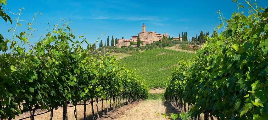 Castello Banfi